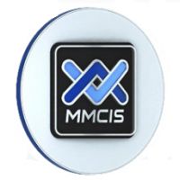   MMCIS Index TOP 20.      20    